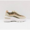 sneaker leo