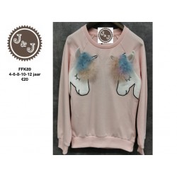 Sweater unicorn
