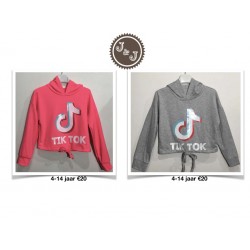 Tik Tok sweater crop